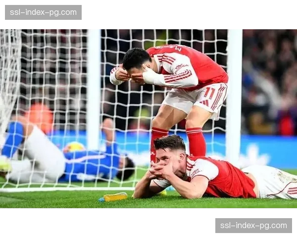 曼联后卫马丁内斯小腿受伤，预计缺席对阵埃弗顿关键战