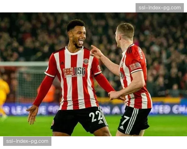 保级生死战前瞻：埃弗顿对阵谢菲尔德联，输球一方或将跌入降级区。