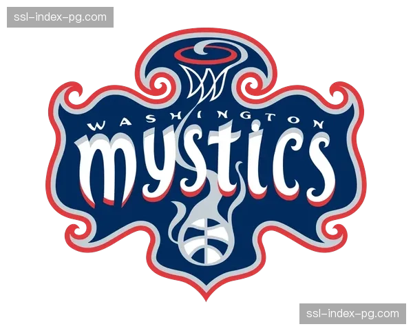 华盛顿神秘人队核心前锋成功接受手腕手术，预计季中复出