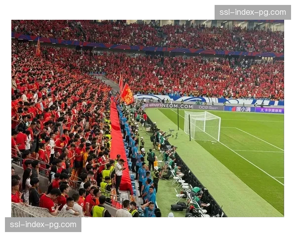 看台一角：一位跟随球队征战客场二十年的老球迷